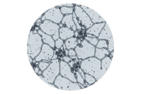 20–50 kDa Hyaluronic acid