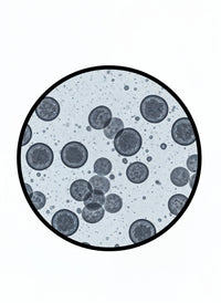 Exosomes