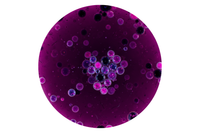 Acai (Euterpe Oleracea) Fruit Extract